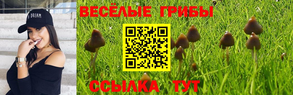 Галлюциногенные грибы ЛСД Чехов