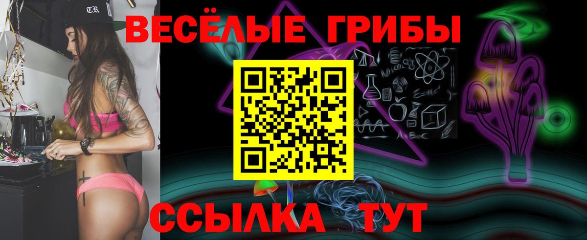 Чехов  Псилоцибиновые грибы Magic Shrooms  Вход с VPN 